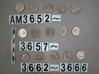 藏品(美國5分硬幣)的圖片